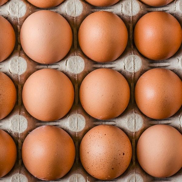 Sekizinci Hata: Yumurtaları güneş ışığına maruz bırakma
