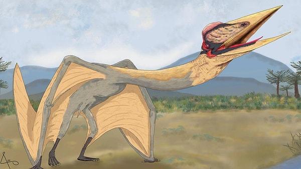4. Bir zamanlar zürafa kadar uzun olan uçabilen sürüngenler (Pterosaurs) vardı.