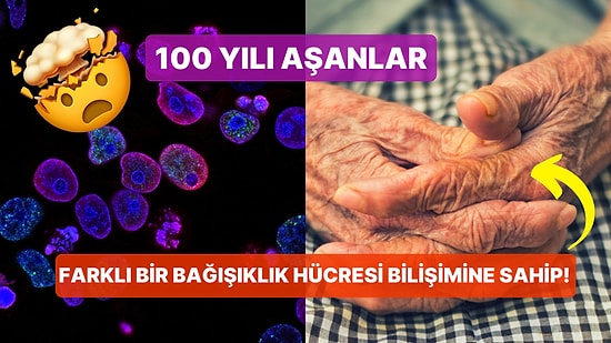 Bilim İnsanları Bazı İnsanların 100 Yaşından Fazla Yaşamasını Sağlayan Sebebi Bulmuş Olabilir!