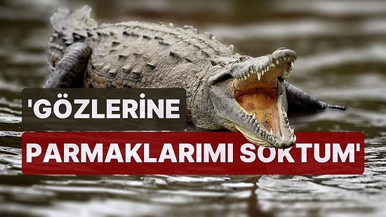 4,5 Metrelik Timsahın Saldırısından Kurtuldu: 'Gözlerine Parmaklarımı Soktum'