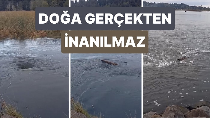 Bir Suda Oluşan Girdapın Nasıl Bir şey Olduğunu Basit Bir Şekilde Gösteren Video