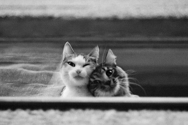 13. Вдвоем навсегда