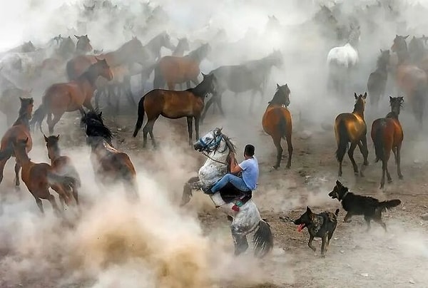 30. В дыму событий