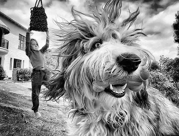 33. Пошли в магазин!