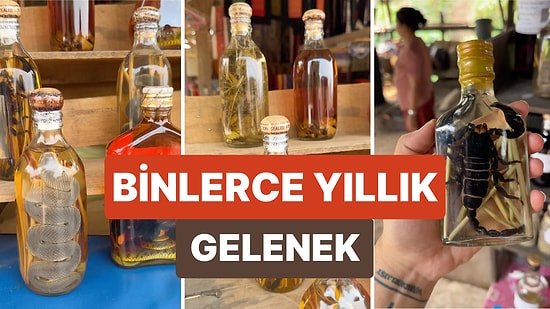 Laos’ta Farklı Sürüngenlerden Yapılan İlginç Viski Çeşitleri