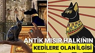 Antik Mısır Toplumunda Yer Edinmiş En Gizemli Varlıklar: Antik Mısır Kedileri