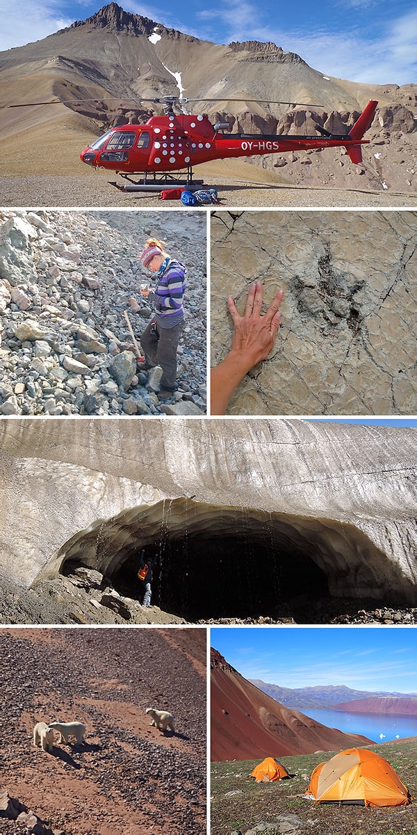 34. «Альбом с моей работы полевым геологом на отдаленном восточном побережье Гренландии. Горы, лед и белые медведи»