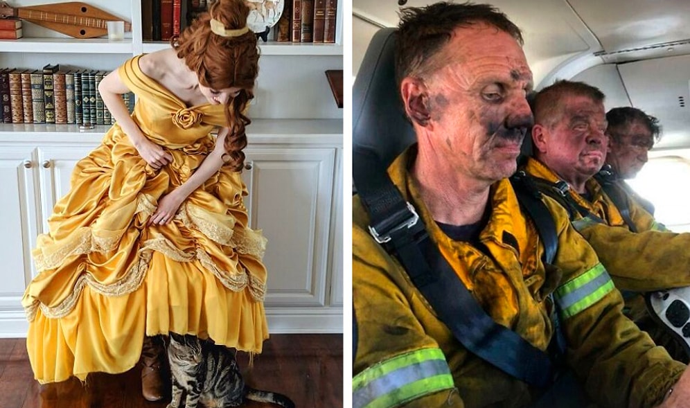 53 впечатляющих и крутых фото, которые люди сделали у себя на работе