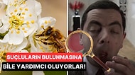 Bahar Geldiği Gibi Çoğumuzun Korkulu Rüyası Haline Gelen Polenleri Daha Yakından Tanıyoruz!