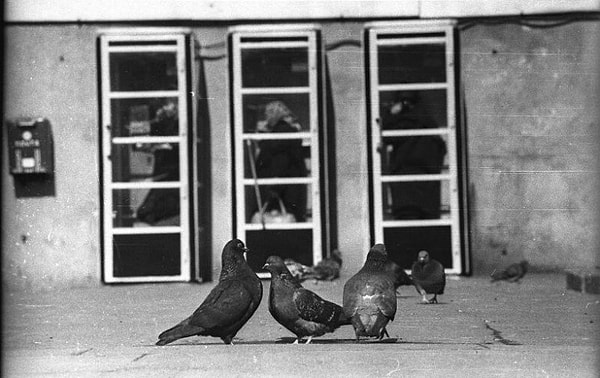 14. Помните эти телефонные будки?