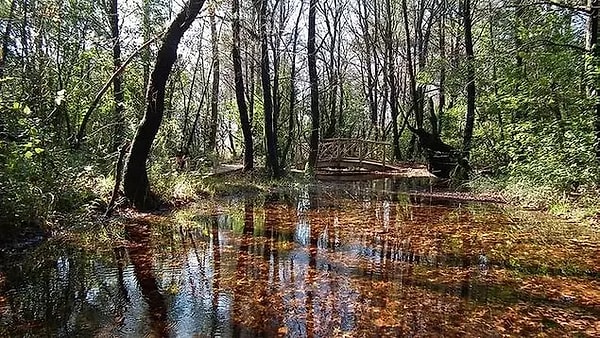 Günnücek (Marmaris National Park)