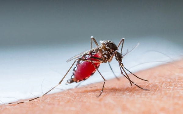 3. Инфекционные заболевания