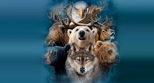 7. Какое животное близко вам по духу?