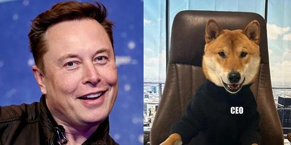 Geçtiğimiz sene 44 milyar dolar karşılığında Twitter'ı satın alan Elon Musk, platform adına akıl sır ermeyen kararlar vermeye devam ediyor. Milyarder son olarak, Floki isimli köpeğini şirketin başına getirdiği açıkladı.