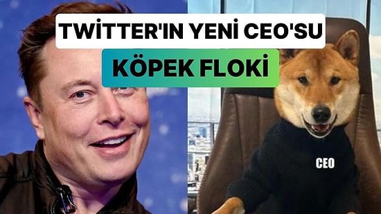 Şaka Değil Gerçek: Elon Musk, Twitter CEO Görevine Köpeğini Atadı!