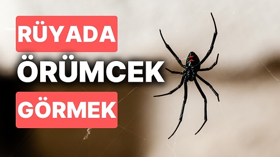 Rüyada Örümcek Görmek: Kader Ağlarını Örüyor Hayalleriniz Gerçek Oluyor