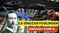 Jurrasic Park Filmiyle Ün Salmış Dinozorların Kralı Devasa T-Rex'in Bulunma Hikayesi