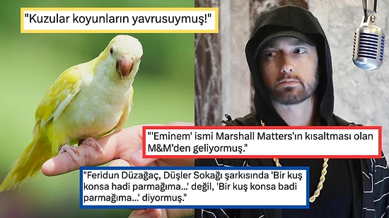 Öğrendiğinizde Hayatınızı Sorgulayıp 'Bu Kadar da Olmaz' Diyeceğiniz Birbirinden Absürt 15 İtiraf