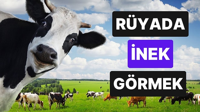 Rüyada İnek Görmek Ne Anlama Gelir? İnek Sürüsü, Yavrusu, Sarı ve Siyah İnek, İnek Kovalaması Tabirleri
