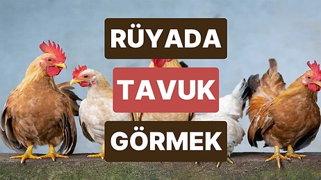 Rüyada Tavuk Görmek: Bu Hayat Sizi Neden Hiç Mutlu Etmiyor?