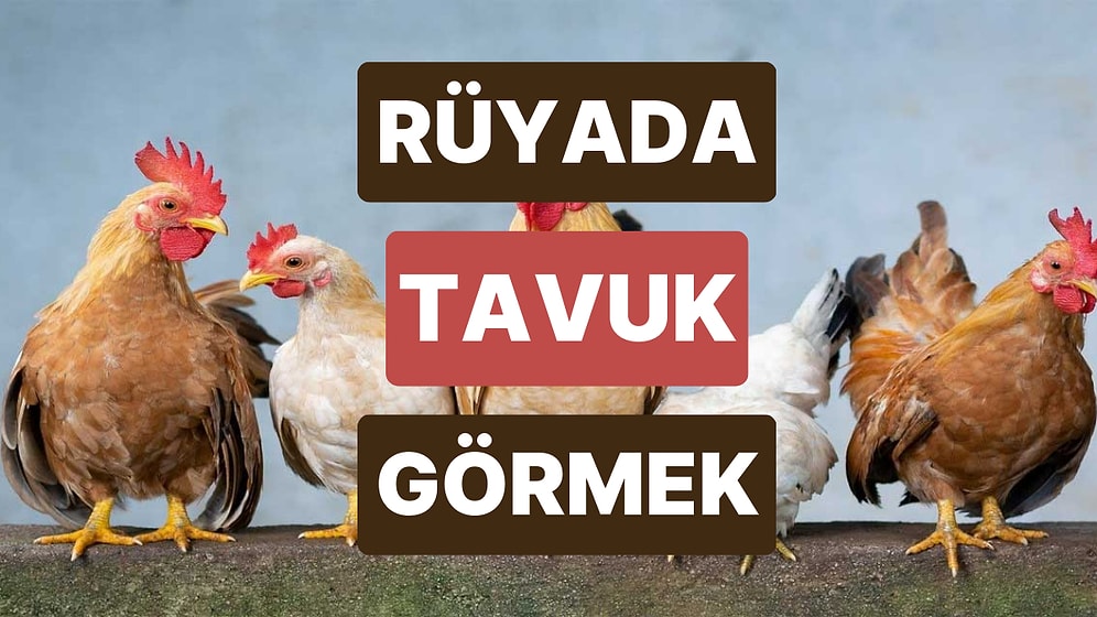 Rüyada Tavuk Görmek: Bu Hayat Sizi Neden Hiç Mutlu Etmiyor?