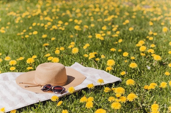 Ваша любимая пора года – лето! Мы правы?