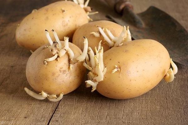 Patateslerinizin çabucak filizlenmemesini istiyorsanız; patateslerinizi soğan, elma, muz, armut ve diğer meyvelerin yanında saklamayın.