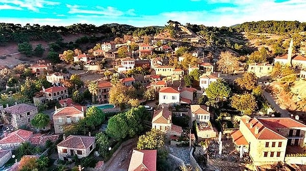 In the Ayvacık district of Çanakkale, there is a quiet village that smells of olives, far away from the hustle and bustle of city life: Adatepe village.