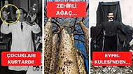 Tarihten Günümüze Hayatı Sorgulamanıza Sebep Olmaya Aday Birbirinden İlginç 19 Görsel