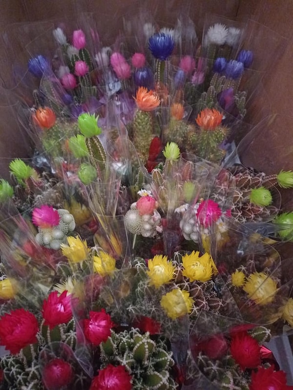 15. И зачем только люди выбрасывают такое количество цветов?