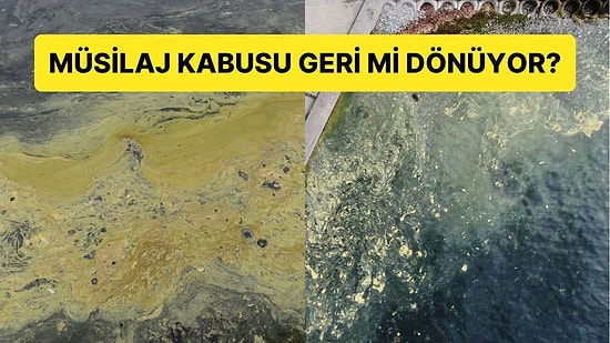 Müsilaj Geri mi Dönüyor? Marmara'da Endişelendiren Görüntü