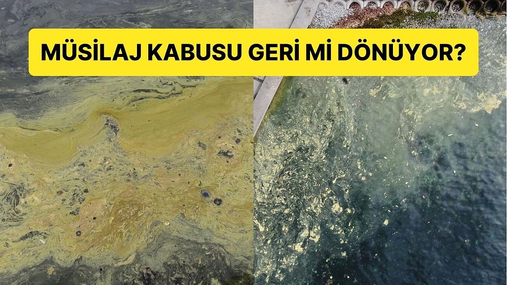 Müsilaj Geri mi Dönüyor? Marmara'da Endişelendiren Görüntü