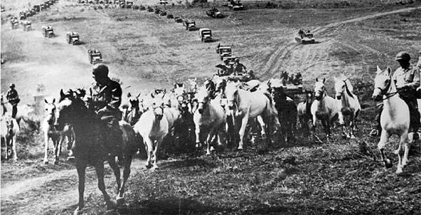 8. İkinci Dünya Savaşı'nda Alman ve Amerikan askerler, nesli tükenmekte olan atları kurtarmak için “Kovboy Harekâtı” operasyonunda bir araya geldi.