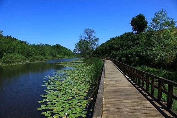 Importance of Acarlar Floodplain