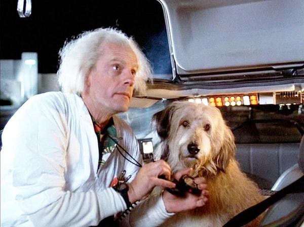 3. Back to the Future filminde Doc ve Marty'ye hep destek olan Einstein olmasa geleceği değiştirmek daha zor olurdu kesin!