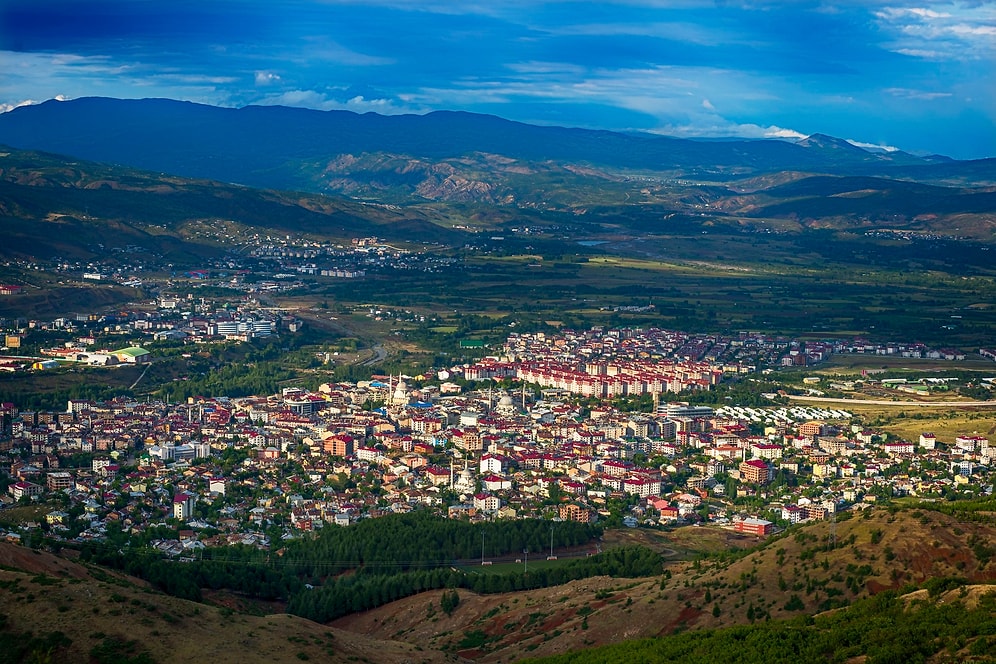 Encountering Wildlife in Bingöl: A Nature Lover's Paradise