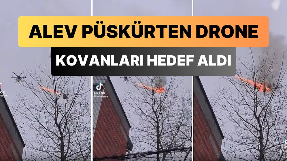 Ağaçlardaki Yaban Arısı Kovanlarını Yok Etmek İçin Alev Püskürten Drone Kullanıldığı Anlar