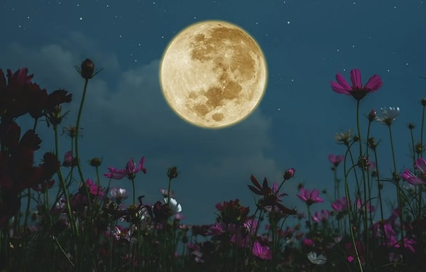 Астролог Патрик Арунделл также говорит в своем видео на YouTube, что это затмение полной Луны повлечет за собой изменения в отношениях: