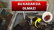 Film Değil Gerçek: Hapishane Hücresinde Böcekler Tarafından "Canlı Canlı Yenildikten" Sonra Ölen Adam