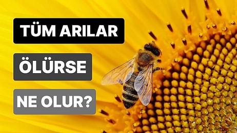 Ekosistemimiz İçin Yaraları Saymakla Bitmeyen Arılar Yok Olsaydı Neler Olurdu?