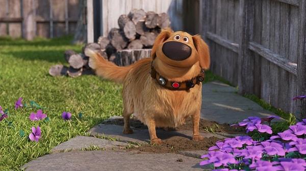 8. Up filminin sevimli mi sevimli köpeği Dug'ı hatırladınız mı? Kendisi özel tasması sayesinde insanlarla iletişim kurabiliyordu!