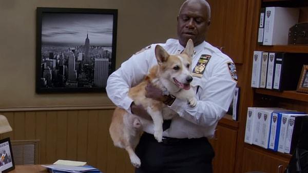 12. Brooklyn Nine Nine dizisinin akıllı köpeği Cheddar, az görünse de her sahnesiyle bizleri kendine aşık etmeyi başardı!