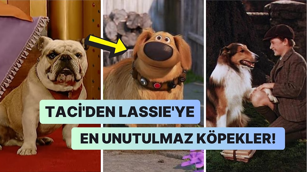 Hem Sadık Hem Sevimli! Dizi ve Filmlerde Hepimizin Gönlüne Taht Kurmuş Olan 21 Unutulmaz Köpek