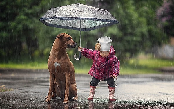 Ваша доброта 👍