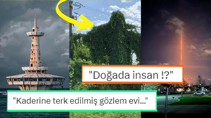 Fotoğraf Çekmek İsterken Yanlışlıkla Rönesans Tablosu Yaratan Kişilerden Muazzam Kareler