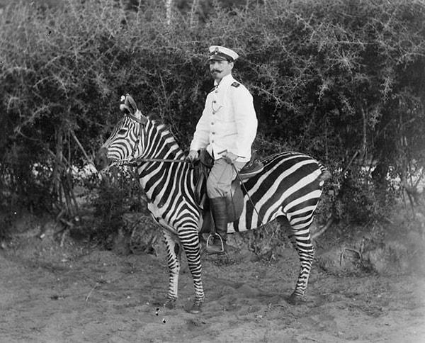Caro, Birleşik Krallık'taki Hill Livery'de bir zebra sürüsünü incelerken, atlara siyah-beyaz çizgili kıyafetler giydiren ve çizgilerin amacı hakkında fikir edinmek için onları zebralar ve sahte çizgileri olmayan atlar arasında serbest bırakan bir ekip hakkında yorumlarını aktardı.