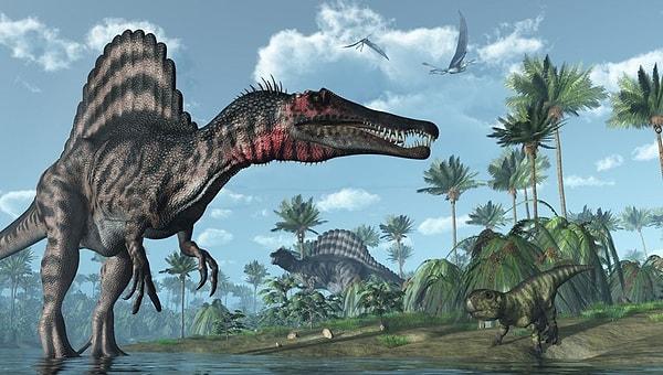 Günümüzde bu dinozorların 14 bin kadar türü yaşamaktadır. Peki ya yok olan dinozorlar?