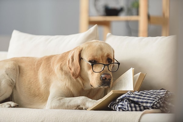 Да! У вас получилось!