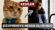 Sevimli Dostlarımız Kediler Şizofreniye mi Neden Oluyor?