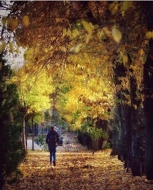 13. Dede Korkut Park